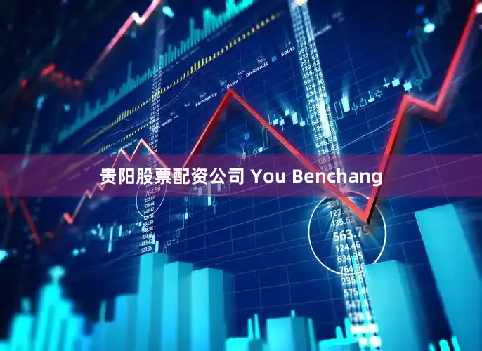 贵阳股票配资公司 You Benchang