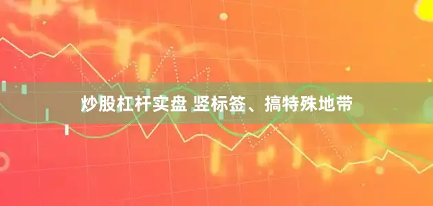 炒股杠杆实盘 竖标签、搞特殊地带