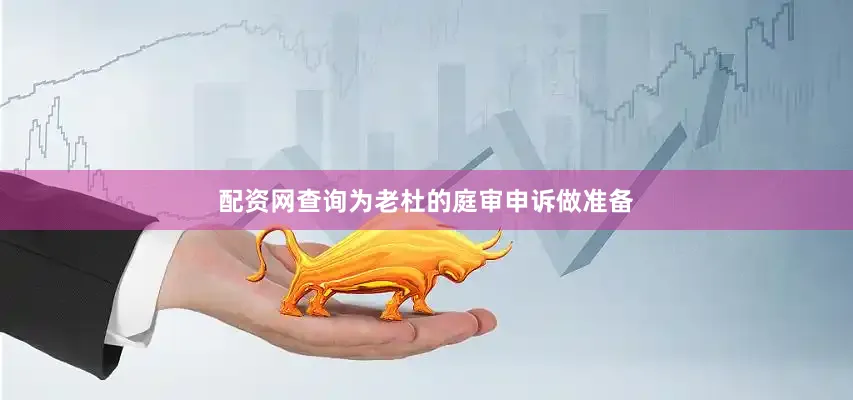 配资网查询为老杜的庭审申诉做准备