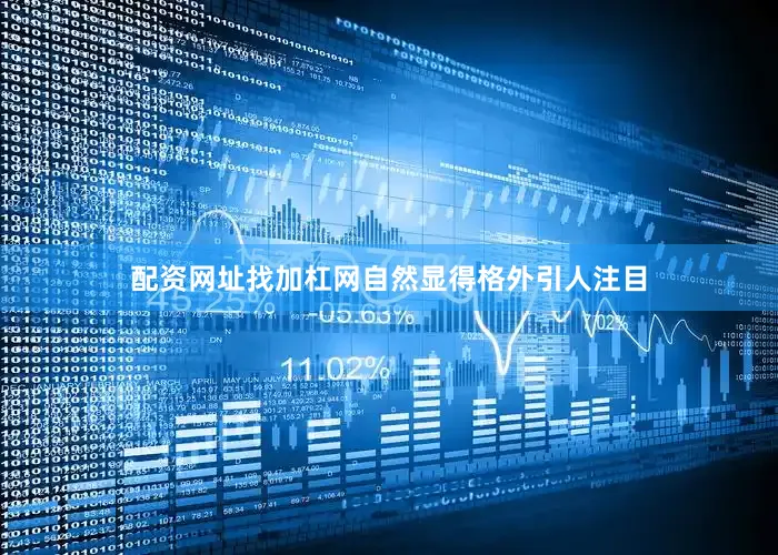 配资网址找加杠网自然显得格外引人注目